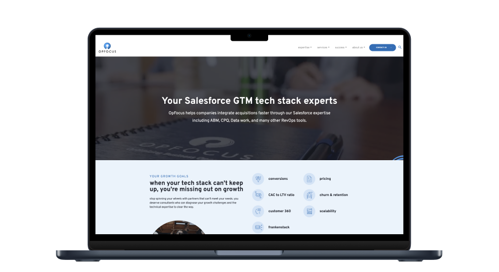 OpFocus: Enhancing Business Processes Through Expert Consulting